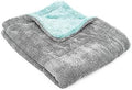 The Rag Company Liquid8r Car Drying Towel, Aqua Blue/Grey, 20x24 in, 1-Pack