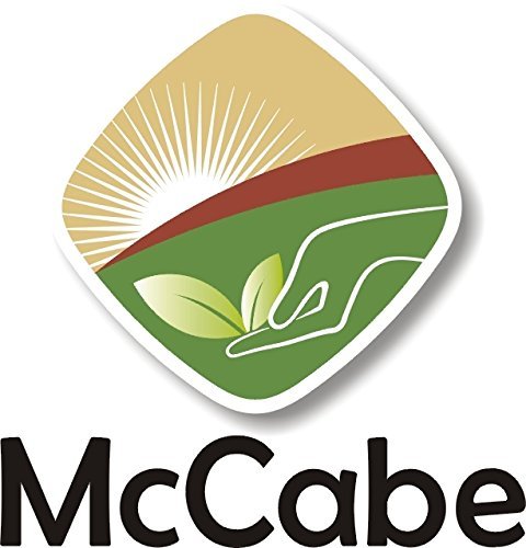 McCabe Organic Whole Green Pea - Green Peas | Rich with Fiber & Minerals | USDA and CCOF Certified | Packed in USA | 2Lbs Pack of 3