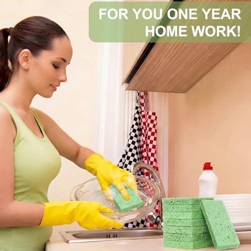 Zhengmy 48 Pcs Sponges Bulk Sponges Kitchen Compressed Sponge, Green