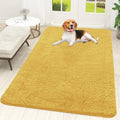 OLANLY Dog Door Mat for Muddy Paws 59x35, Super Absorbent Chenille Mud Mat
