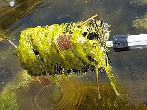 Koi Pond Cleaning Maintenance Care Kit, 4-in-1 Net Set