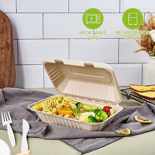 ECOLipak 500 Pack Compostable Clamshell Take Out Food Containers, 9x6 inch