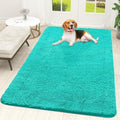 OLANLY Dog Door Mat for Muddy Paws 59x35, Super Absorbent Chenille Mud Mat