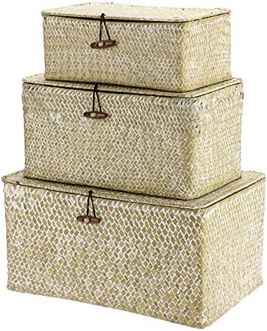 Hipiwe Set of 3 Wicker Storage Basket Bin with Lid Large Woven Seagrass Box