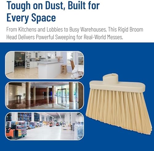 SPARTA Plastic Broom Head, Angled, Un-Flagged for Large Debris Indoor, Outdoor, Home, Restaurant, Lobby, Office, 12 Inches, Tan, (Pack of 12)