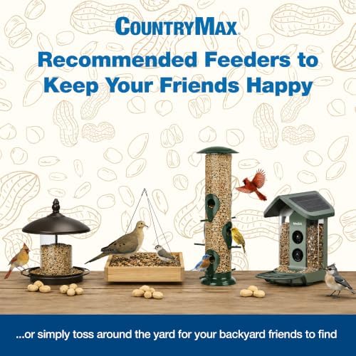 CountryMax Backyard Seeds 20LB Finch & Small Songbird Frenzy