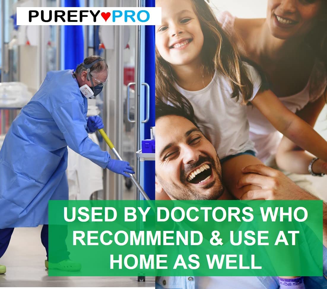 pro Disinfectant Airesol Spray (28 Ounce)