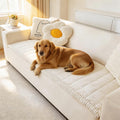 Couch Covers for Dogs Washable