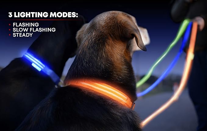 ILLUMISEEN LED Dog Collar USB Rechargeable - Bright & High Visibility Lighted Glow Collar for Pet Night Walking - Weatherproof, in 6 Colors & 6 Sizes (Yellow Small)