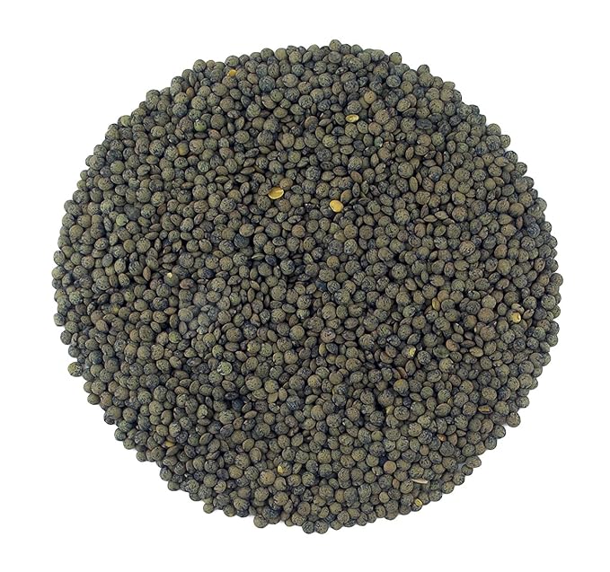 Organic French Green Lentils Whole Raw, High Fiber Non-GMO-Bulk (5LB)