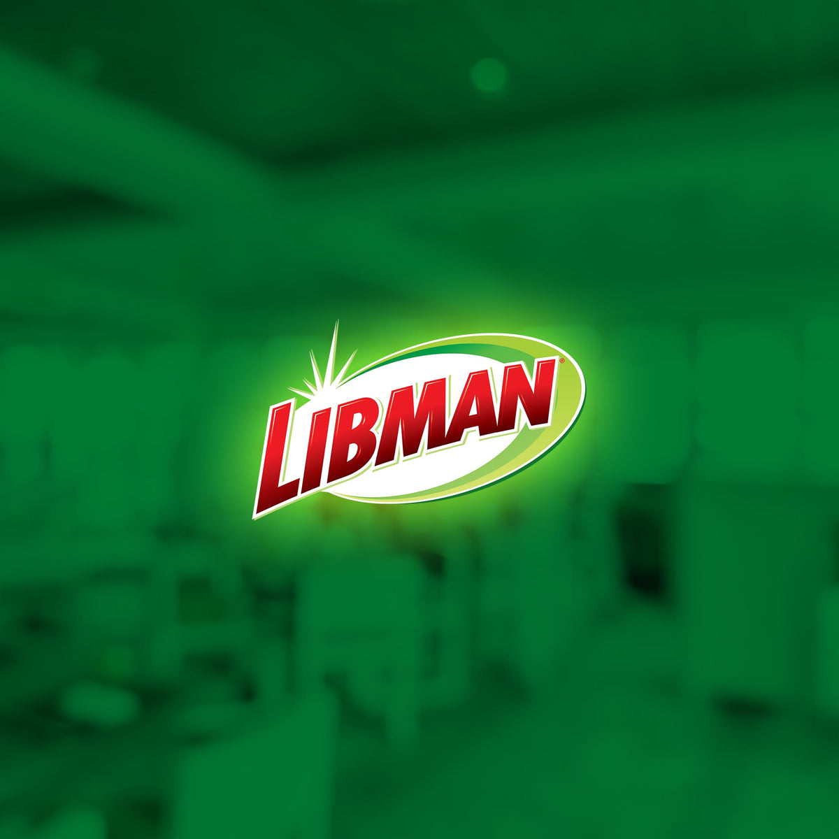 Libman Freedom Spray Mop Kit