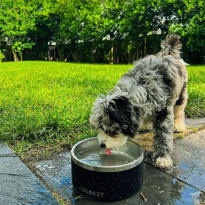 Coldest Dog Bowl - Anti Rust Metal, Non Slip, 3 Layers Insulated Stainless Steel Dog Bowls - Spill Proof & Heavy Duty - Water Bowl for Dogs, Cats & Pets, Dish Washer Safe (21 oz, Stealth Black)