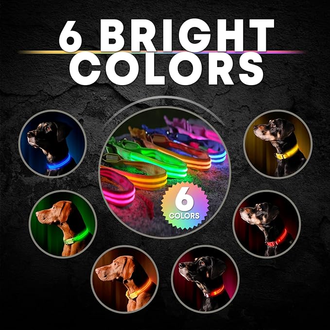 ILLUMISEEN LED Dog Collar USB Rechargeable - Bright & High Visibility Lighted Glow Collar for Pet Night Walking - Weatherproof, in 6 Colors & 6 Sizes (Yellow Small)