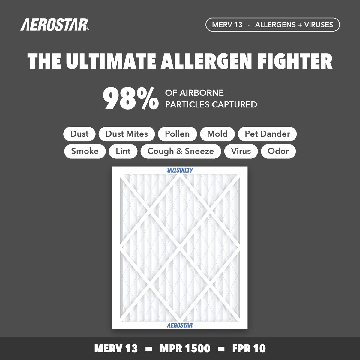 Air Filter 21 1 (12 Count)