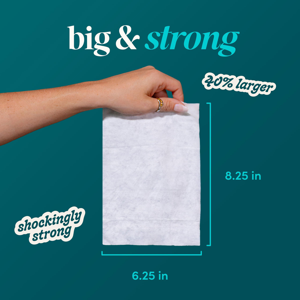 Flushable Wipes (153 Count)