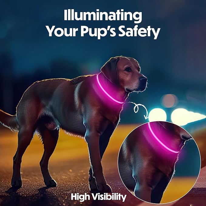 Light Up Dog Collar ??Reflective, Adjustable & Rechargeable Electronic Glow Pet Collars ??Bright, Comfortable, High Visibility LED Dog Collar for Night Safety, Outdoor Walk & Flashing Fun, Pink, Small
