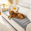 Couch Covers for Dogs Washable