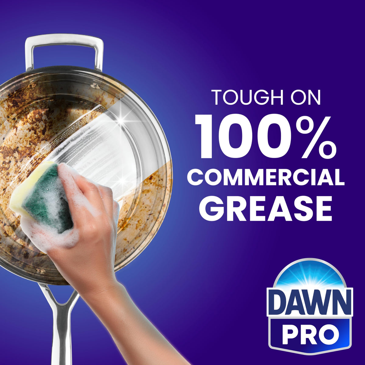 Dawn PRO Manual Pot & Pan Detergent (302.96 Fl Oz)