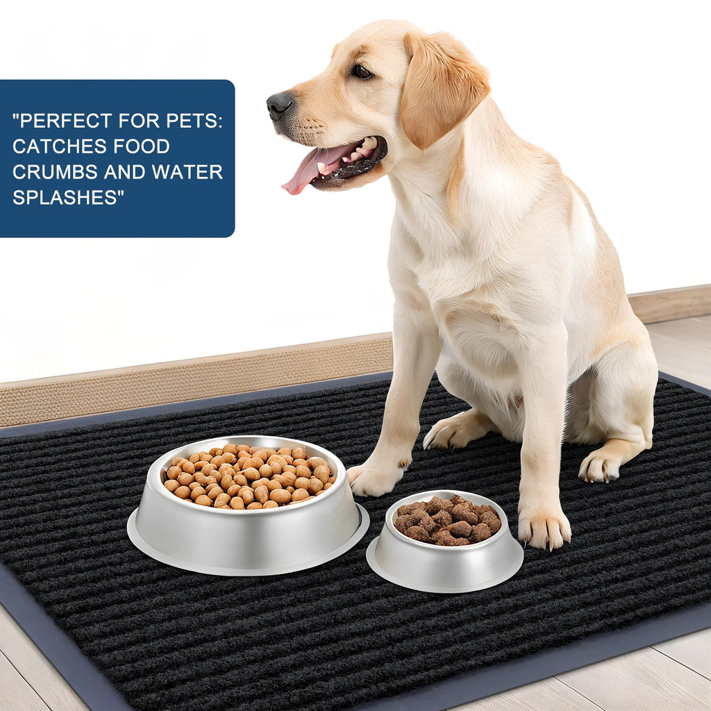 Front Door Mat 47x17