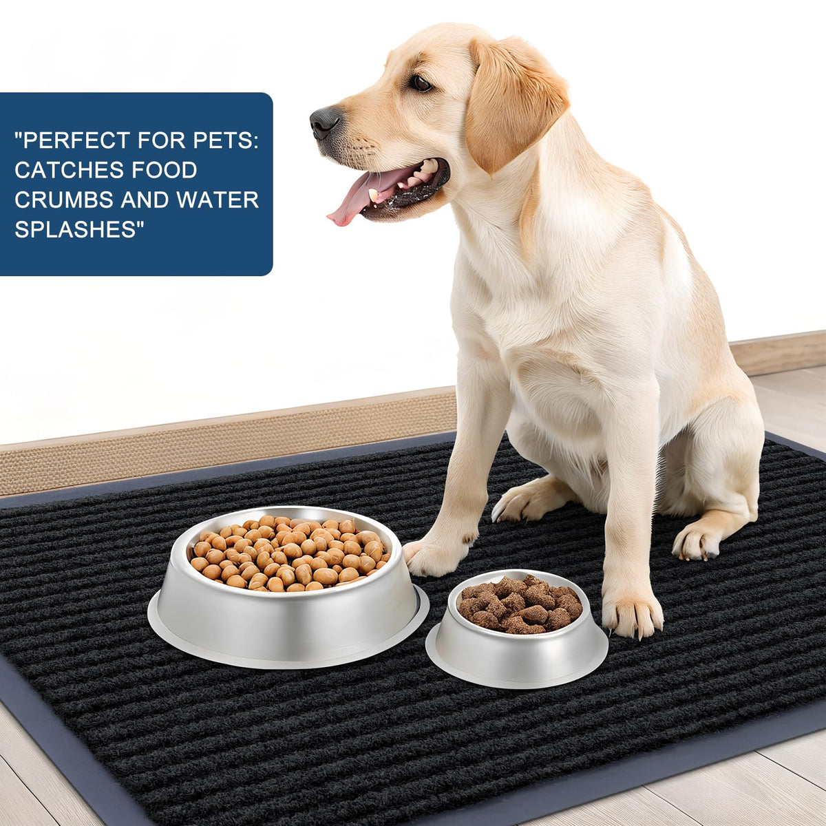 Front Door Mat 47x17