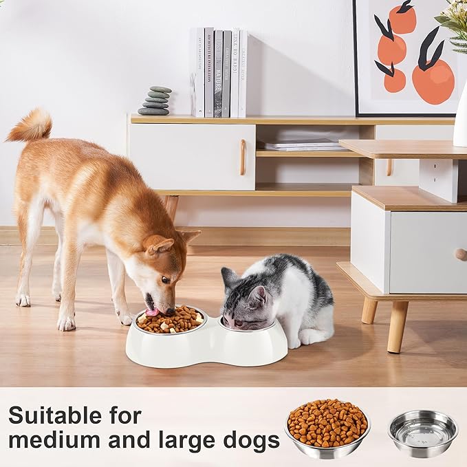 Elevated Dog Bowls Set - Non-Slip Raised Pet Feeder with Medium (10 oz) & Large (20 oz) Stainless Steel Bowls - Includes Durable Resin Stand for Puppies, Adult Dogs & Cats - White