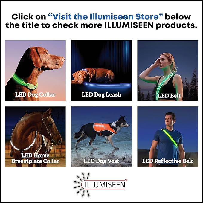 ILLUMISEEN LED Dog Collar USB Rechargeable - Bright & High Visibility Lighted Glow Collar for Pet Night Walking - Weatherproof, in 6 Colors & 6 Sizes (Yellow Small)