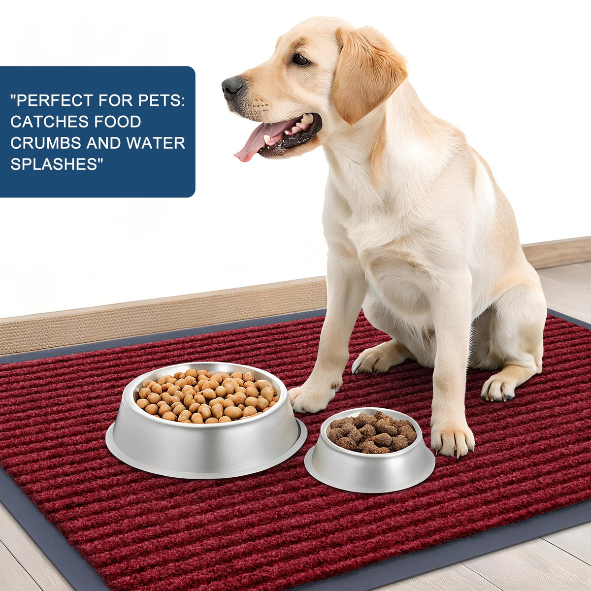 Front Door Mat 47x34