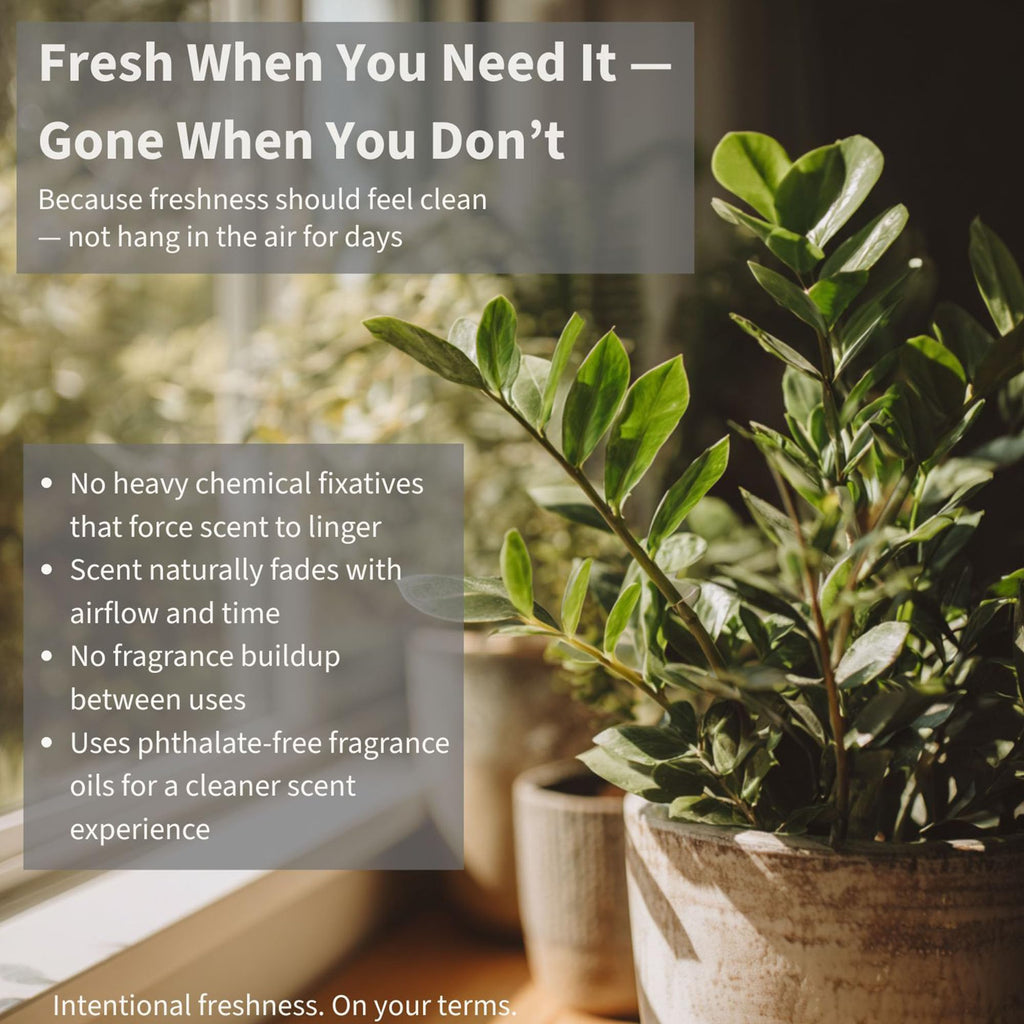 Eucalyptus Snowfall Carpet Deodorizer Powder (16 Ounce)