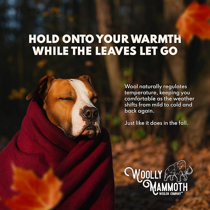 Woolly Mammoth Woolen Company Merino Wool Camping Blanket - 66" x 90", Navy Blue - Compact Design & Hunting Essentials - Heavyweight Insulation & Wool Throw Blanket - Solid Pattern & Bedroll Use